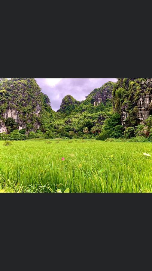 Tam Coc Scenery Homestay Van Lam Extérieur photo